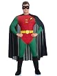Batmans Robin Costume Superhero Sidekick Dynamic Duo Movie Costumes