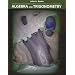 Student Solutions Manual for Stewart/Redlin/Watson's Algebra and Trigonometry