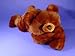 Soft And Cuddly Lying Or Sitting 27" Plush Teddy Bear Adorable Gift