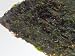 新海苔入荷！幻の海苔　愛知産　青混ぜ海苔　１００枚　期間限定　在庫限りの品です♪