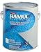 Ramuc Type DS Water Base Acrylic Swimming Pool Coatings
