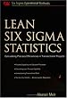 Lean Six Sigma Statistics: Calculating Process Efficiencies in Transactional Project (Six SIGMA Operational Methods)
