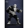 DC Direct DC Universe Online Statue: Solomon Grundy