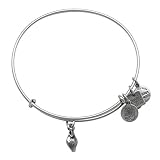 Alex and Ani Zest for Life Charm Bangle Rafaelian Silver Finish Bracelet CBD14ZFLRS