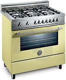 Review Bertazzoni  / Bertazzoni Professional X365PIRCR 36