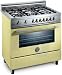 Bertazzoni Professional X365PIRCR 36