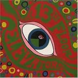 The Psychedelic Sounds of the 13th Floor Elevators
