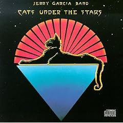 Cats Under the Stars