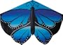 Butterfly Kite, Cool Gradiant, 52" x 37"