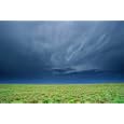 Storm Clouds Hanging Over The Plains Of Llano Estacado., Art Poster, size 20" x 16"