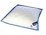Badenia Bettcomfort 03840650123 Kissen Irisette Edition 80 x 80 cm