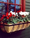 Boston Copper Windowbox