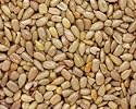 Premium Raw Sunflower Seeds