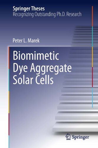 Biomimetic Dye Aggregate Solar Cells (Springer Theses)
