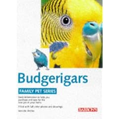 Budgerigars (Family Pet)