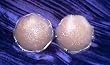 Silicone Nipple Cover 3-pack