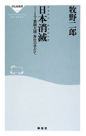 日本消滅‐IT貧困大国・再生の手だて (祥伝社新書124)