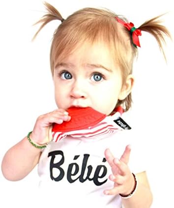 My qBebe2 Pack Teething Bibs Reversible 2 in 1 Baby Bibs Design with BPA Free Silicone Teether Attached- Bandana Bibs &amp; Free Bag Included