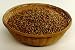 Organic Sprouting Seeds Hard Wheat for Wheatgrass 5 Pounds