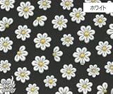 ネイルシール デコネイル N-116 シュガー(W)