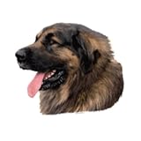 World Stickers Schwandt Heimtierbedarf 12074 Aufkleber 4 St&uuml;ck ca. 80 x 80 mm f&uuml;r Warnschild Leonberger