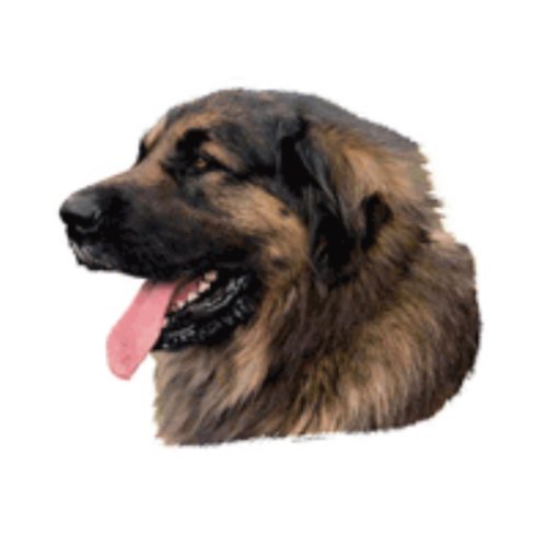 World Stickers Schwandt Heimtierbedarf 13074 Aufkleber 2 St&uuml;ck ca. 140 x 160 mm f&uuml;r Warnschild Leonberger