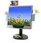 Envision EN-7220 17" LCD Monitor (Silver/Black)
