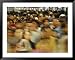 Lo Wu Border Crossing Between Shenzen China and Hong Kong National Geographic Collect...
