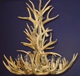 Antler Lighting - 6 Lite Tall Mule Deer Chandelier