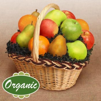 Organic Fruit Banquet by GotFruit.com