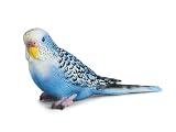 Schleich - Budgerigar BlueIMAGE