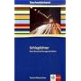 Schlaglichter - zwei Dutzend Kurzgeschichten: Texte & Materialien. 9./10. Klasse