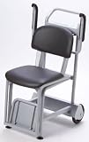 Digital Chair Scale