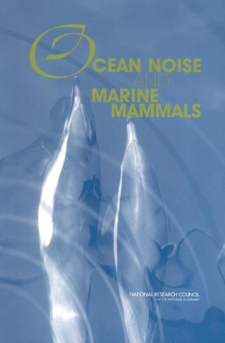 ocean noise and marine mammals