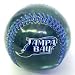Tampa Bay Devil Rays High Gloss Baseball