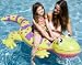 Kitchen & Housewares : Intex Gecko Ride on Inflatable