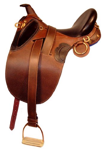 Kimberley Economy Outback With Horn