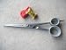Pet Supplies : 8" Roseline German Shear