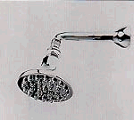 Brasstech 214 29-Jet Shower Head