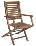 Patio Outdoor Chair - Parati Folding Chair With Arms (Set of 2) - Eucalyptus Wood - Wood Finish - INT-BT-224