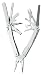 Sports : VICTORINOX SwissTool Spirit Plus, in Lederetui