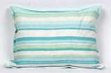 Liz Claiborne Home Decorative Pillow - Mint Green Stripe