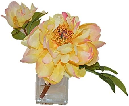 The French Bee Watergarden Collection Silk Yellow Peony in a Glass Cube Vase