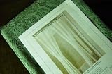 Double - Swag Fern Green Lace Fabric Shower Curtain Moss
