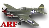 ALMOST READY TO FLY AirField 6-CH 1400mm P40 (Flying Tiger) Radio Control Warbird Plane w/ Brushless Motor & ESC ARF w/ 90 Degree Retract (ETA 4/20/10)