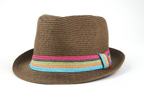 Summer Cool Straw Hipster Fedora Hat Colorful Band 119HF (Brown)