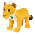 Go Diego Go - Diego's Animal Rescue - B