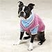 Dog Sweater - Cable Knit Mock Twin Pet Sweater Set - Large