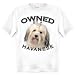 Havanese Owned By Adult T Shirt