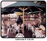 Ambrosia 9 Foot Wood Market Umbrella-Beige